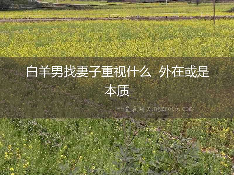 白羊男找妻子重視什么  外在或是本質(zhì)