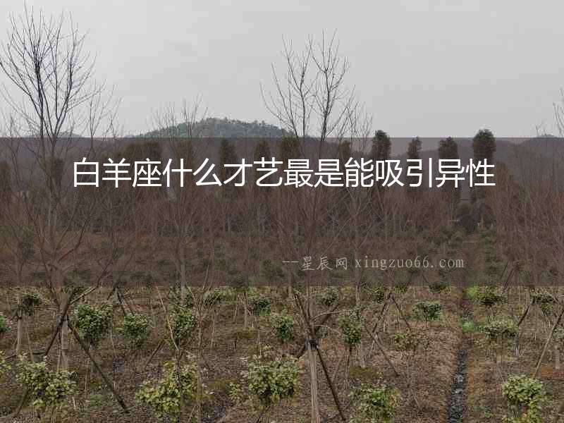 白羊座什么才藝最是能吸引異性