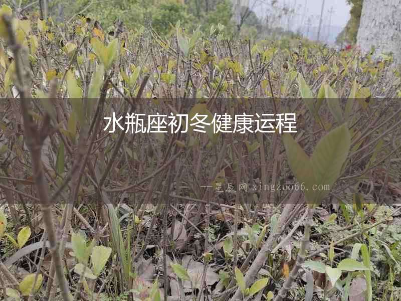 水瓶座初冬健康運(yùn)程