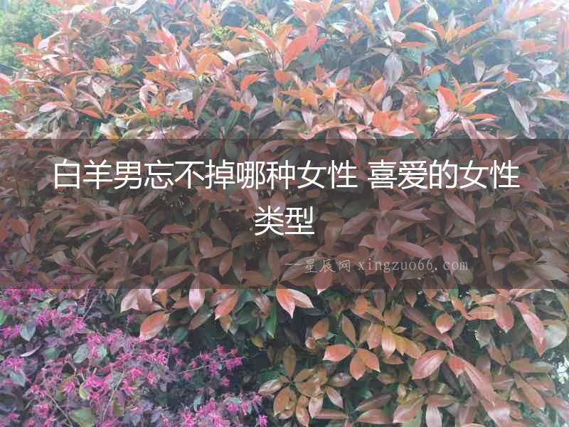 白羊男忘不掉哪種女性 喜愛的女性類型