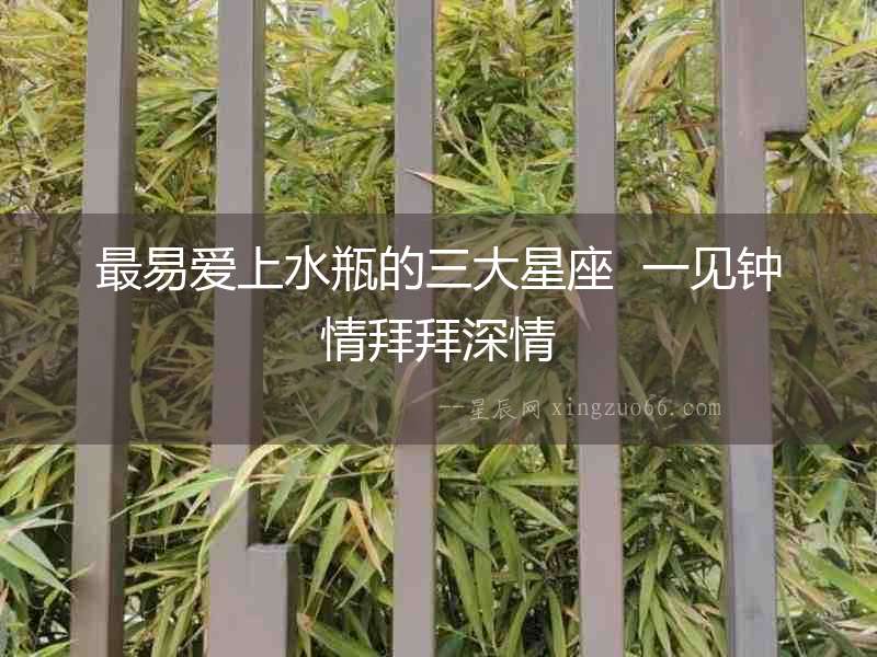 最易愛(ài)上水瓶的三大星座  一見(jiàn)鐘情拜拜深情