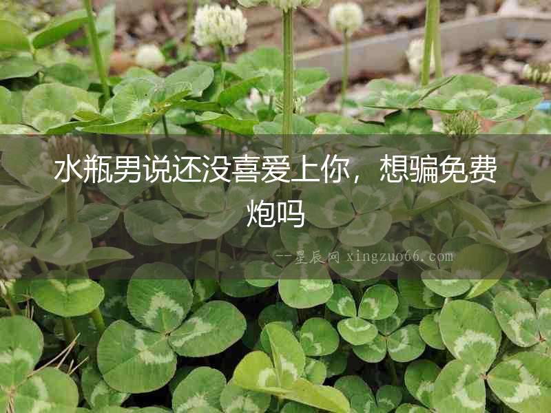 水瓶男說還沒喜愛上你，想騙免費炮嗎