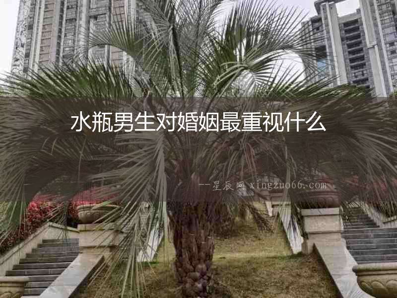 水瓶男生對婚姻最重視什么
