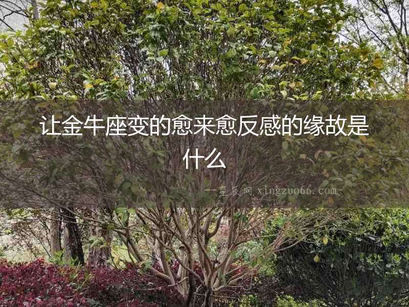 讓金牛座變的愈來愈反感的緣故是什么