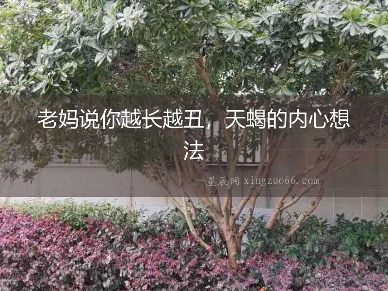 老媽說你越長(zhǎng)越丑，天蝎的內(nèi)心想法