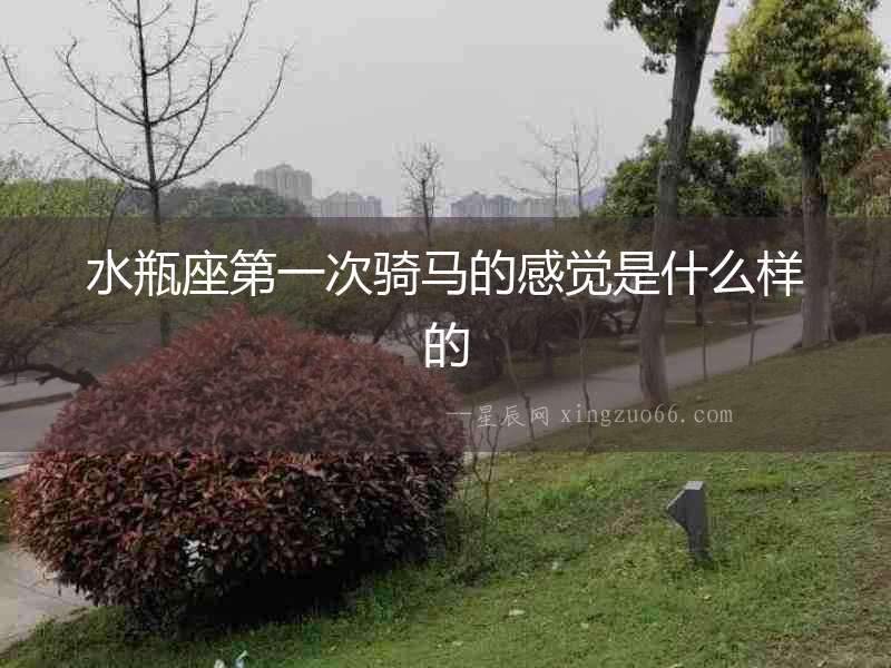 水瓶座第一次騎馬的感覺是什么樣的