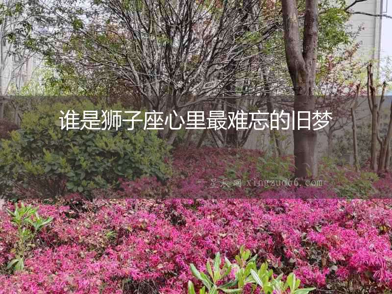 誰是獅子座心里最難忘的舊夢