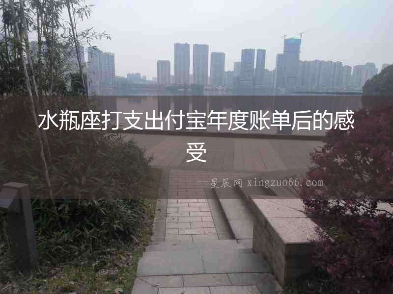 水瓶座打支出付寶年度賬單后的感受