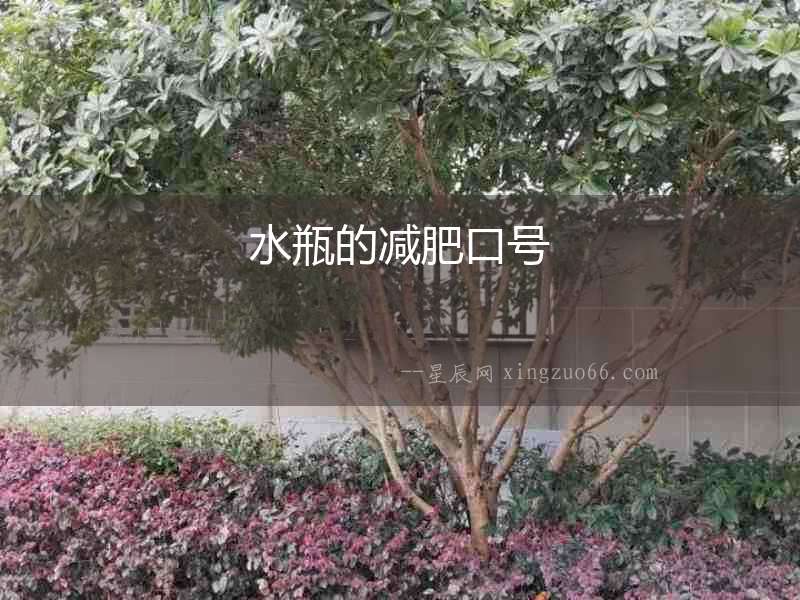 水瓶的減肥口號