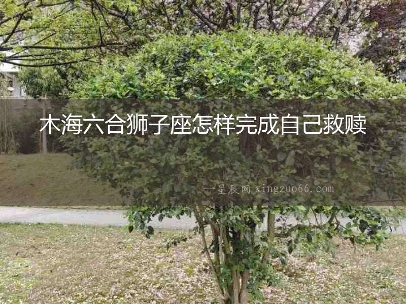 木海六合獅子座怎樣完成自己救贖