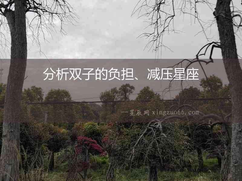 分析雙子的負擔、減壓星座