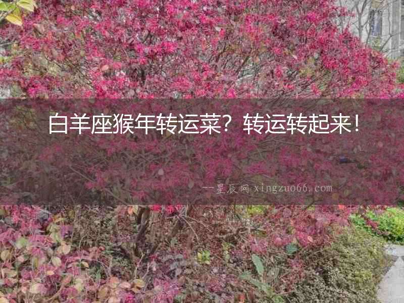 白羊座猴年轉運菜？轉運轉起來！