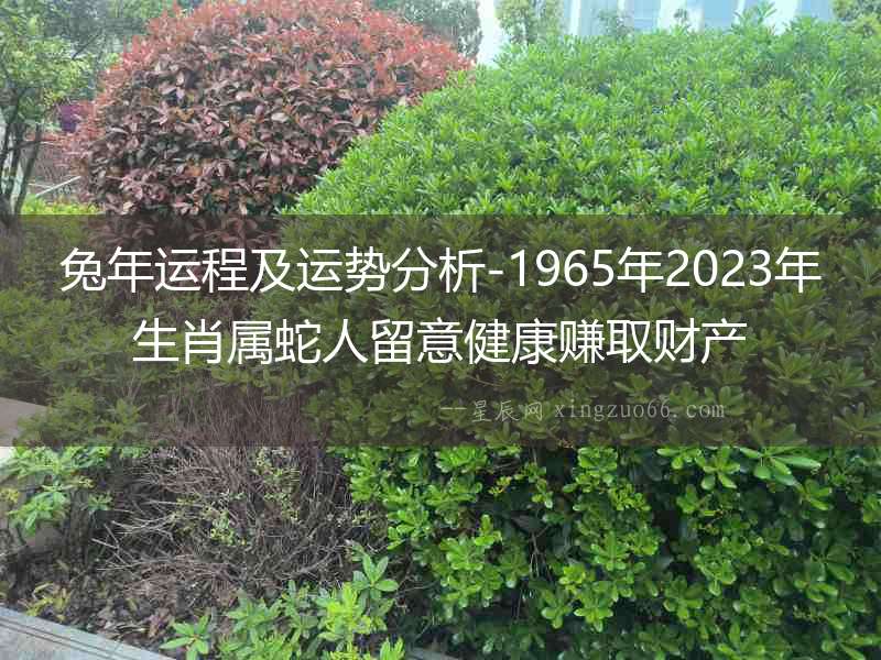 兔年運程及運勢分析-1965年2023年生肖屬蛇人留意健康賺取財產