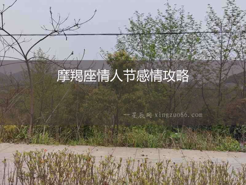 摩羯座情人節感情攻略