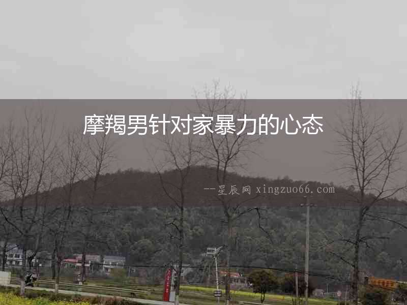 摩羯男針對家暴力的心態