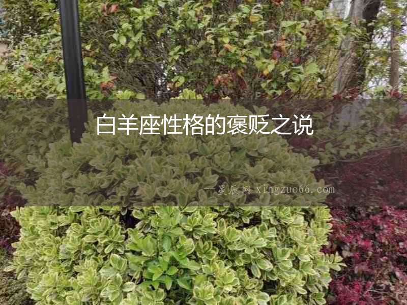 白羊座性格的褒貶之說