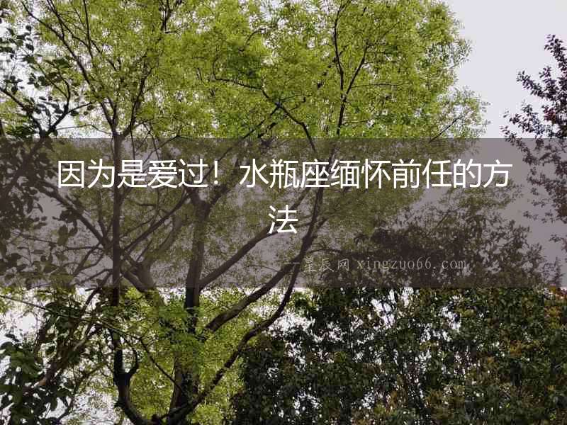 因為是愛過！水瓶座緬懷前任的方法