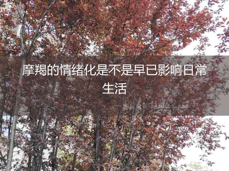 摩羯的情緒化是不是早已影響日常生活