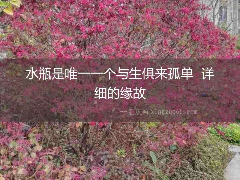 水瓶是唯一一個與生俱來孤單  詳細的緣故
