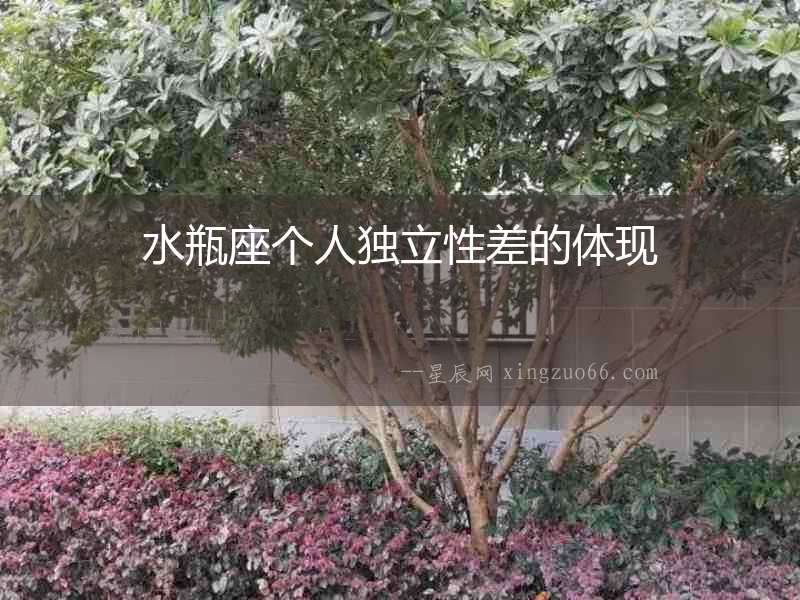 水瓶座個人獨立性差的體現