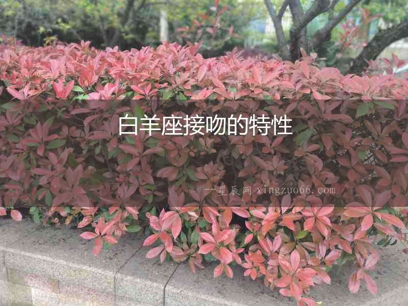白羊座接吻的特性