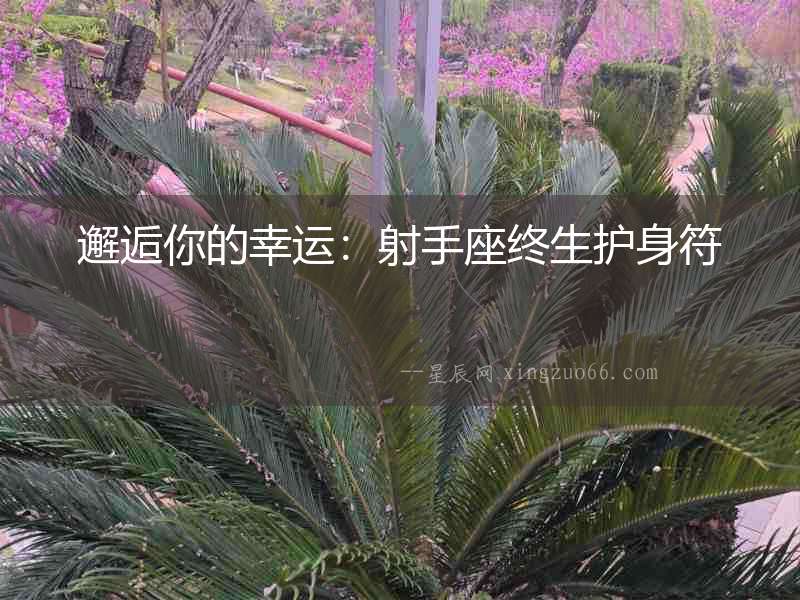 邂逅你的幸運：射手座終生護身符