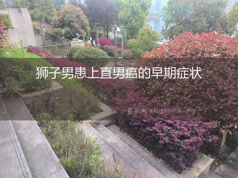 獅子男患上直男癌的早期癥狀