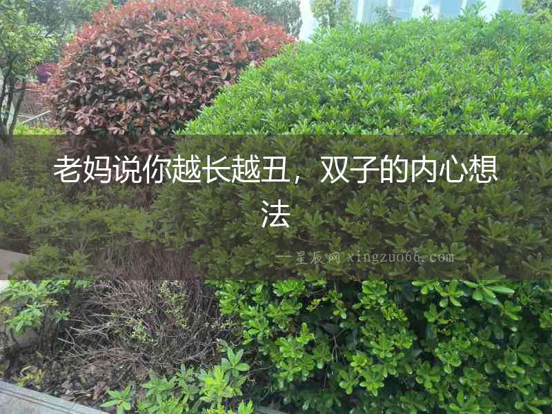 老媽說你越長越丑，雙子的內心想法