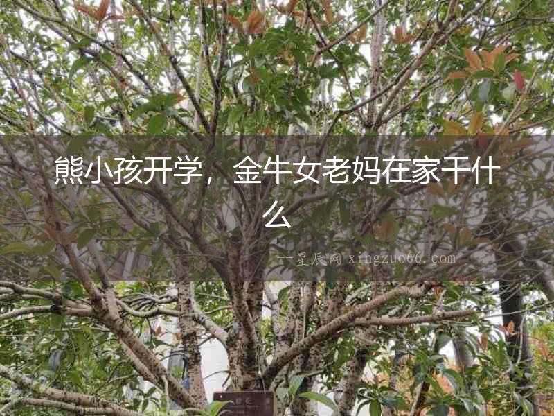 熊小孩開學(xué)，金牛女老媽在家干什么
