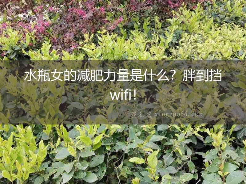 水瓶女的減肥力量是什么？胖到擋wifi！