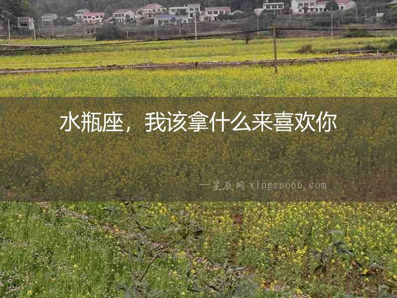 水瓶座，我該拿什么來喜歡你
