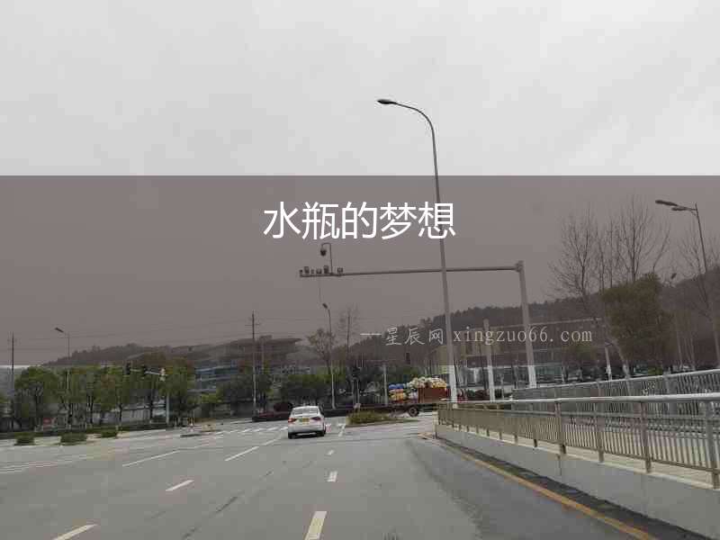 水瓶的夢想