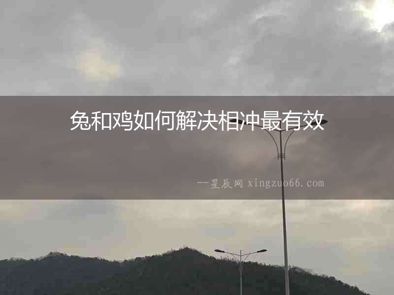 兔和雞如何解決相沖最有效