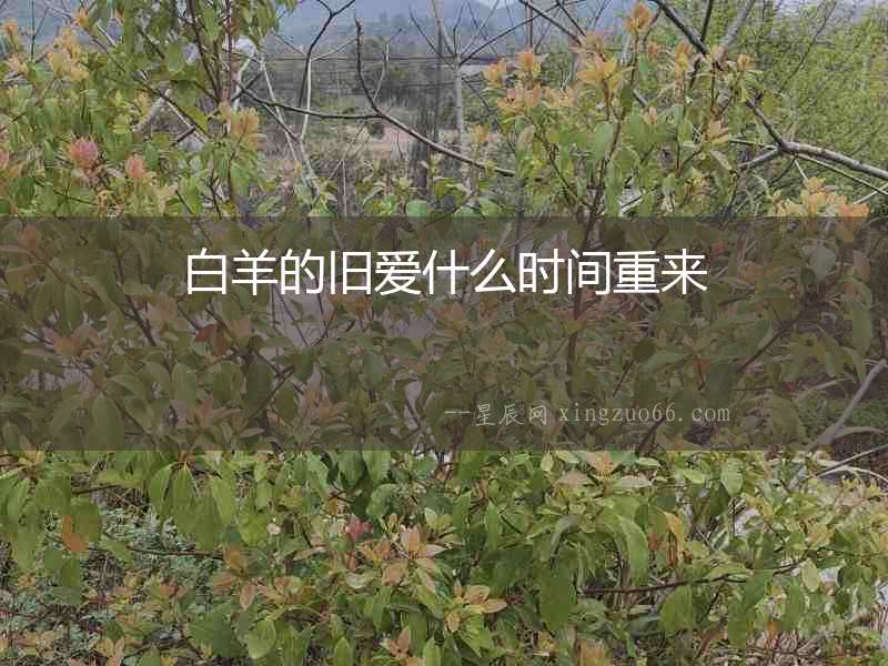 白羊的舊愛什么時間重來