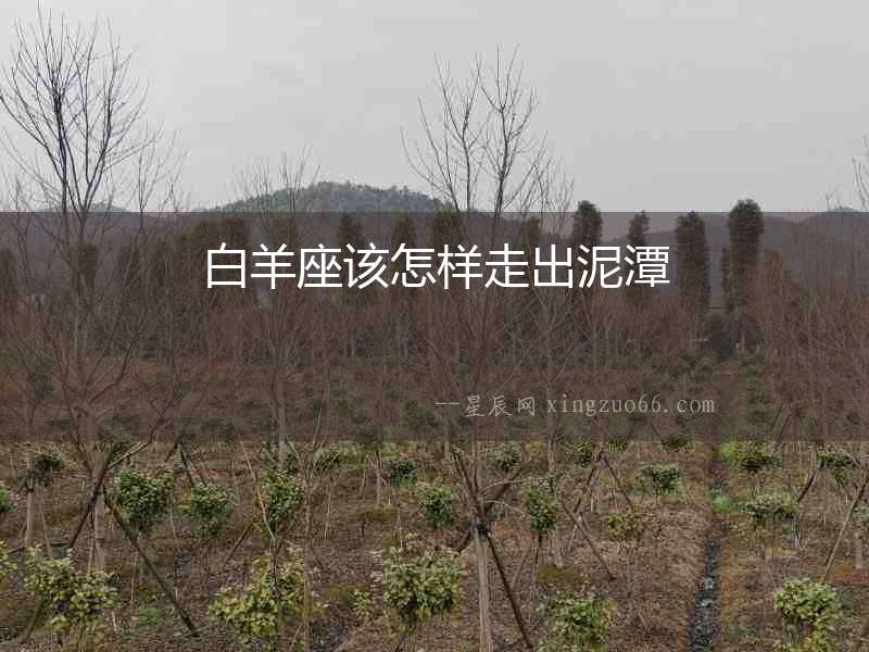 白羊座該怎樣走出泥潭