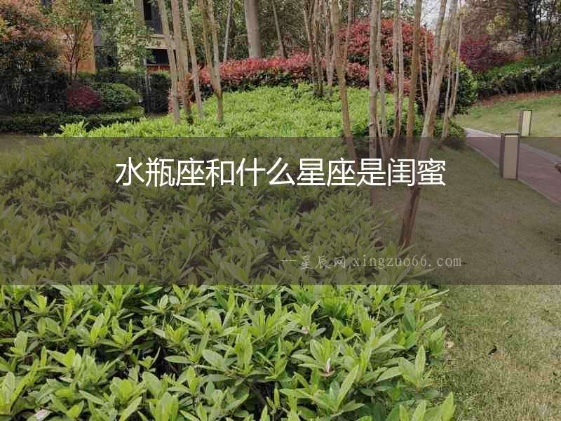水瓶座和什么星座是閨蜜