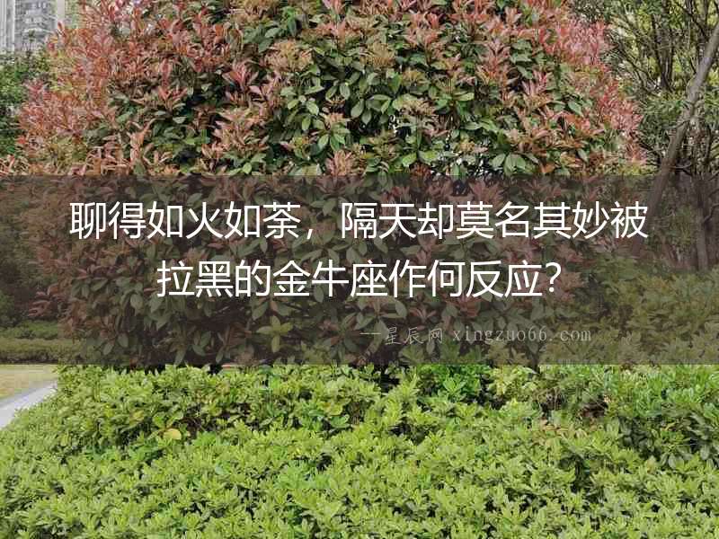 聊得如火如荼，隔天卻莫名其妙被拉黑的金牛座作何反應(yīng)？