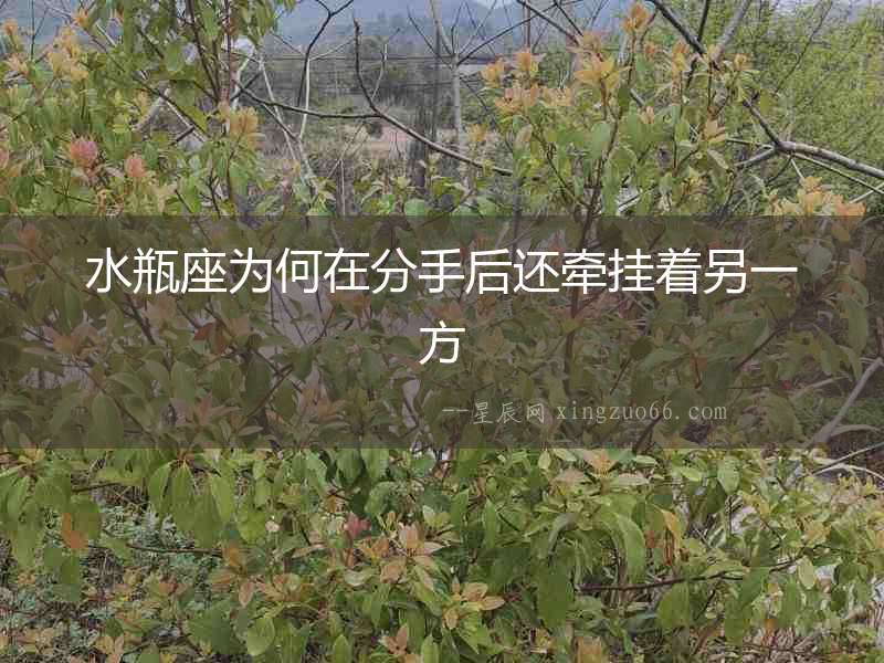 水瓶座為何在分手后還牽掛著另一方