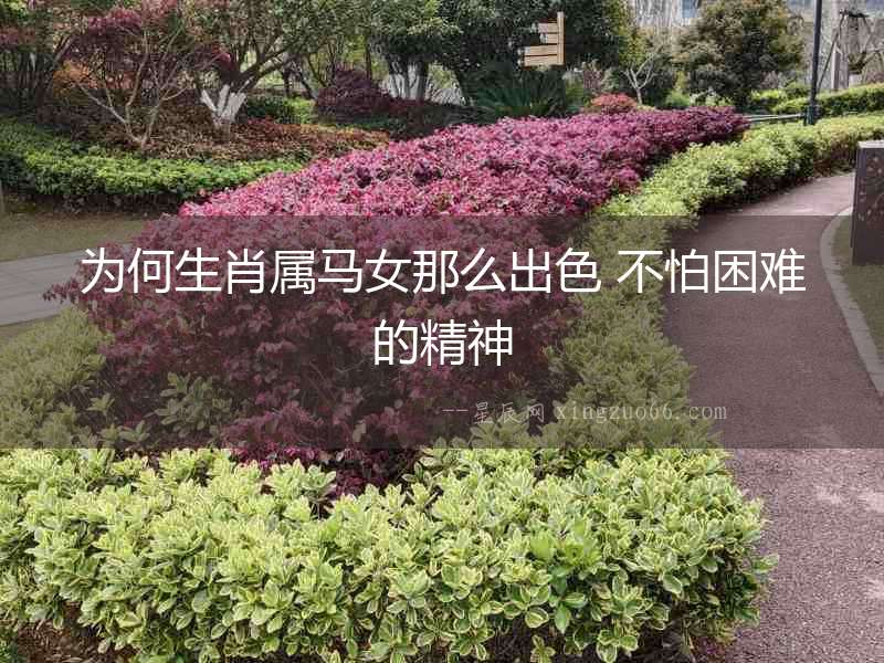 為何生肖屬馬女那么出色 不怕困難的精神