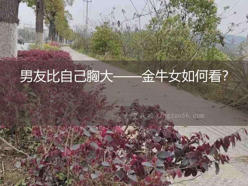 男友比自己胸大——金牛女如何看？