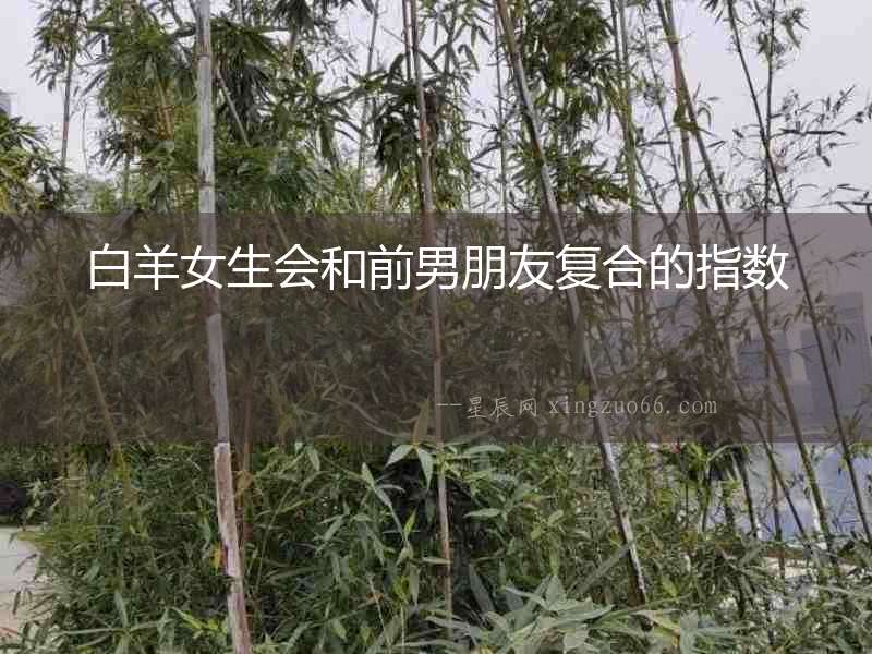 白羊女生會(huì)和前男朋友復(fù)合的指數(shù)