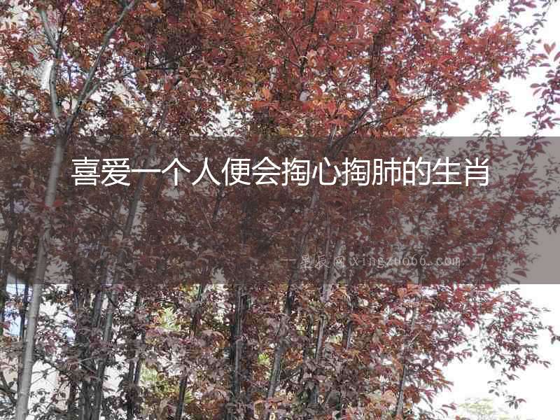 喜愛一個人便會掏心掏肺的生肖