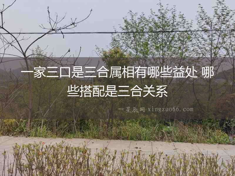 一家三口是三合屬相有哪些益處 哪些搭配是三合關系