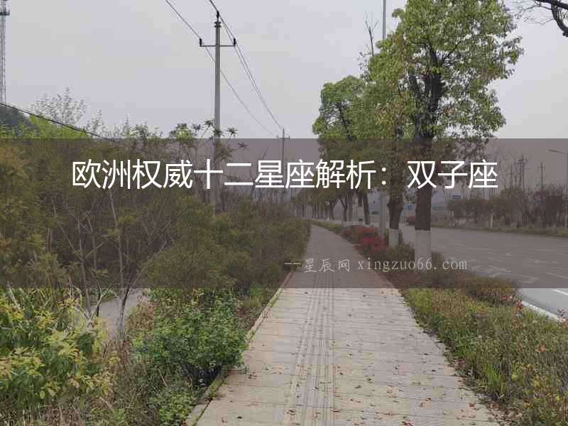 歐洲權(quán)威十二星座解析：雙子座