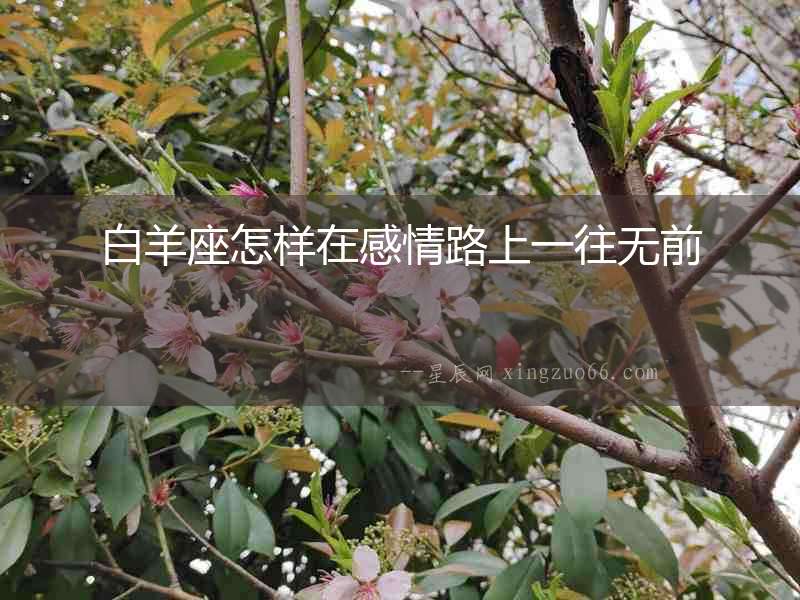 白羊座怎樣在感情路上一往無前