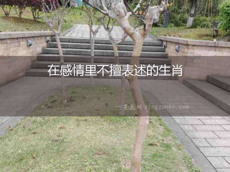 在感情里不擅表述的生肖