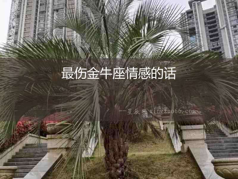 最傷金牛座情感的話