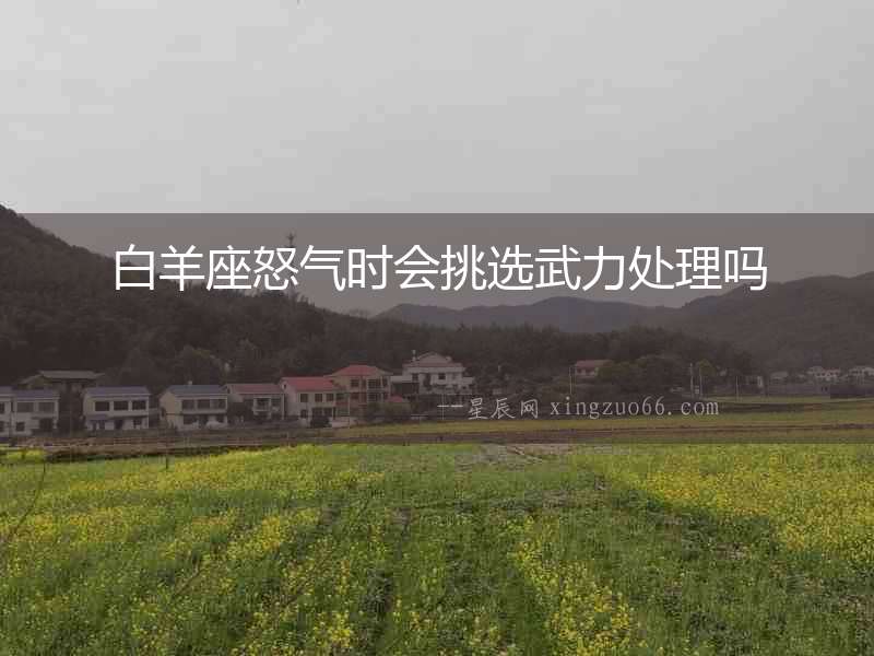 白羊座怒氣時會挑選武力處理嗎