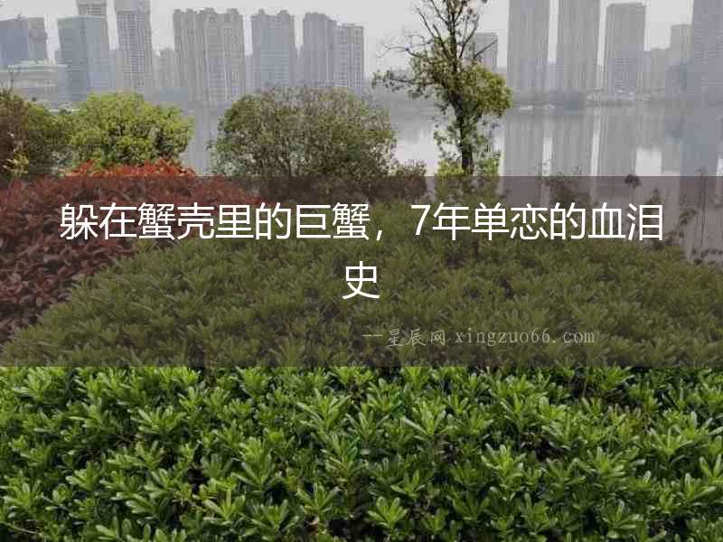 躲在蟹殼里的巨蟹，7年單戀的血淚史