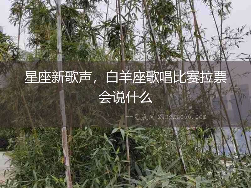 星座新歌聲，白羊座歌唱比賽拉票會說什么